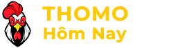 Thomo Hôm Nay